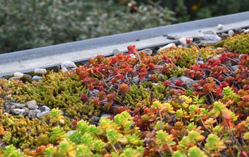 the cost of Bookham green roof installation