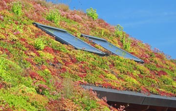 Bookham living roof systems